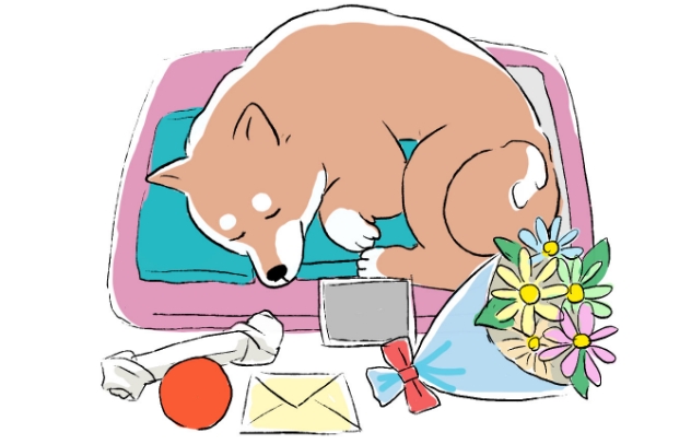 お花やおやつをお供えする